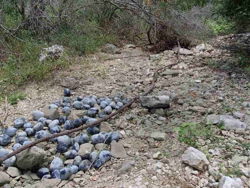 Lead free smart rocks field photo